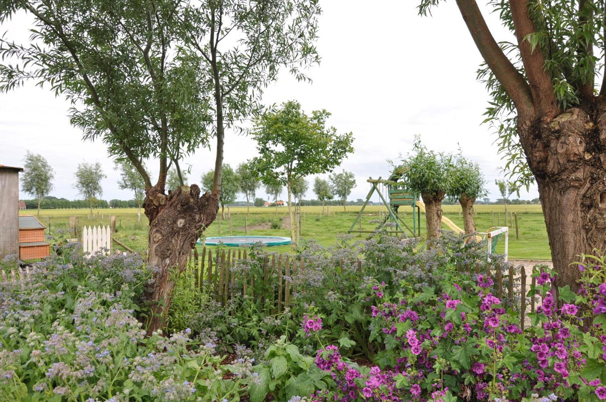 B&B Knotwilgenhoeve นอคเคอ-เฮสท์ ภายนอก รูปภาพ
